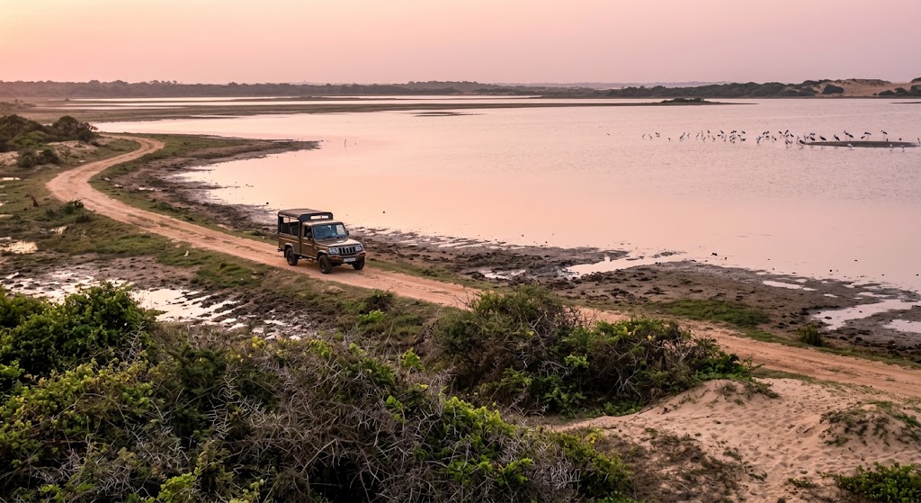 Safari jeep beside the wetlands of Bundala National Park at dusk